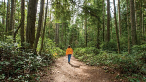 Young woman walking in a tall forest trail.