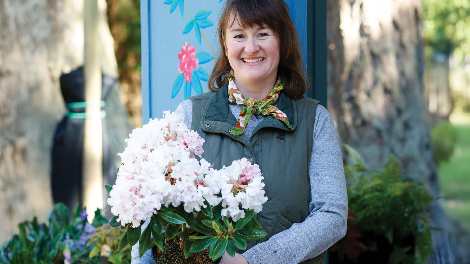 Woman at a nursery holding a flowering rhododendron in a pot