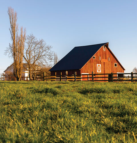 Blue sky above a red barn on a green field of grass